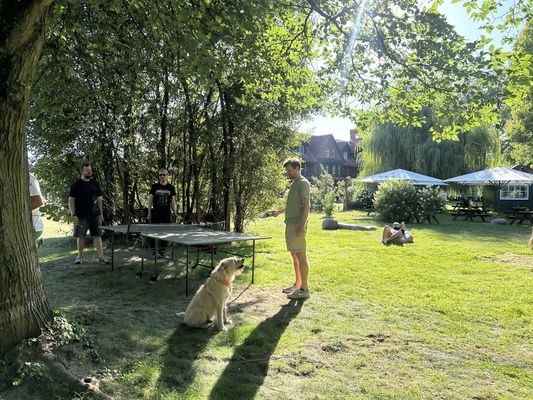 Tischtennis im Garten unter Bäumen, ein Hund sitzt neben der Platte und schaut zu.